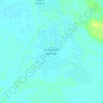 Топографическая карта Noorumba Swamp, высота, рельеф