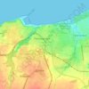 Топографическая карта Пионерский, высота, рельеф
