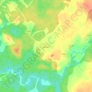 Топографическая карта Ерыгино, высота, рельеф