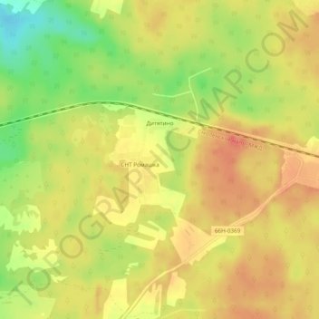 Топографическая карта Дитятино, высота, рельеф