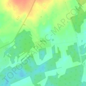 Топографическая карта Дубинец, высота, рельеф