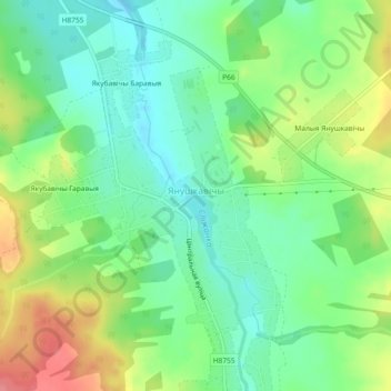 Топографическая карта Янушковичи, высота, рельеф