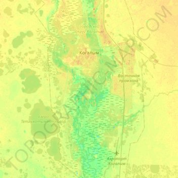 Топографическая карта Когалым, высота, рельеф