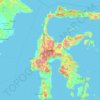 Топографическая карта Sulawesi, высота, рельеф