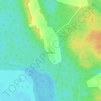 Топографическая карта Боровуха, высота, рельеф
