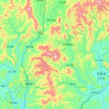Топографическая карта 大桂山, высота, рельеф