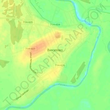Топографическая карта Викулово, высота, рельеф
