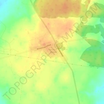 Топографическая карта Лунино, высота, рельеф