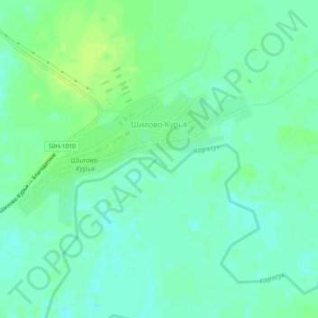 Топографическая карта Шилово-Курья, высота, рельеф