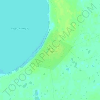 Топографическая карта Бурино, высота, рельеф