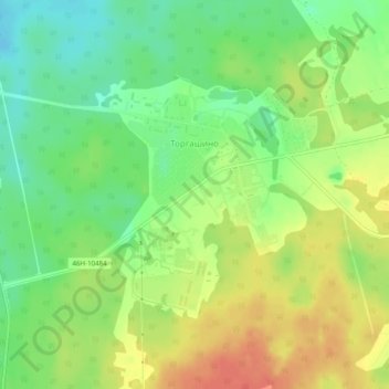 Топографическая карта Торгашино, высота, рельеф