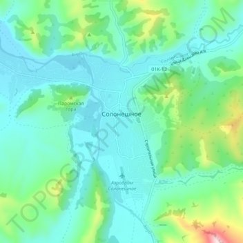 Топографическая карта Солонешное, высота, рельеф