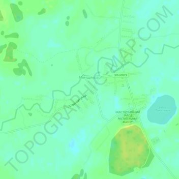 Топографическая карта Менщиково, высота, рельеф