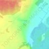 Топографическая карта Репино, высота, рельеф