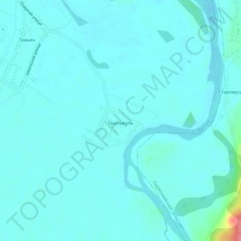 Топографическая карта Ташлыкуль, высота, рельеф
