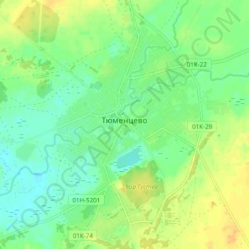 Топографическая карта Тюменцево, высота, рельеф