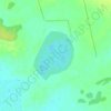 Топографическая карта озеро Медвежье, высота, рельеф