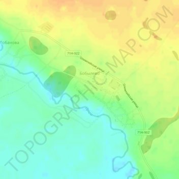 Топографическая карта Бобылево, высота, рельеф