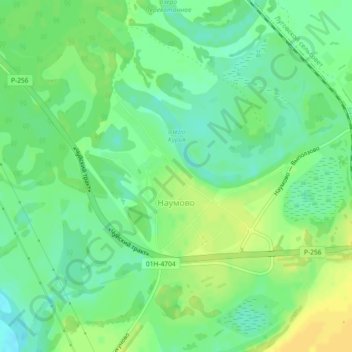 Топографическая карта Наумово, высота, рельеф