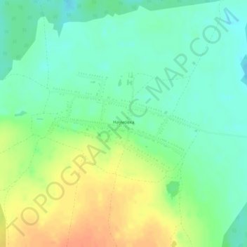 Топографическая карта Наумовка, высота, рельеф