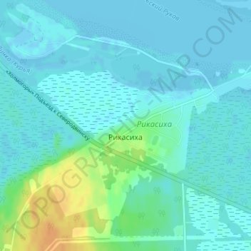 Топографическая карта Рикасиха, высота, рельеф