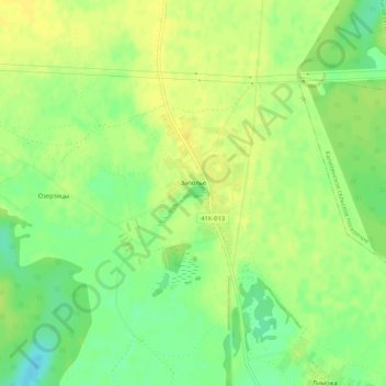 Топографическая карта Заполье, высота, рельеф
