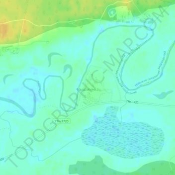 Топографическая карта Пышминка, высота, рельеф