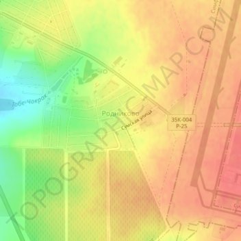 Топографическая карта Родниково, высота, рельеф