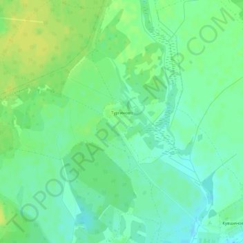Топографическая карта Тургиново, высота, рельеф