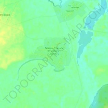 Топографическая карта Татарский Саскуль, высота, рельеф
