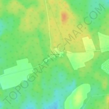 Топографическая карта Заскочиха, высота, рельеф