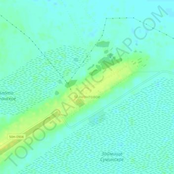 Топографическая карта Мамонтовое, высота, рельеф