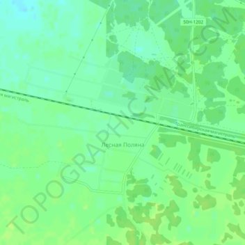 Топографическая карта Лесная Поляна, высота, рельеф
