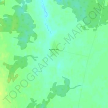 Топографическая карта Бурмакино, высота, рельеф