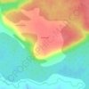Топографическая карта Селищево, высота, рельеф