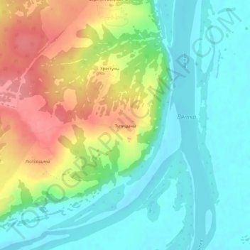 Топографическая карта Тупицыны, высота, рельеф