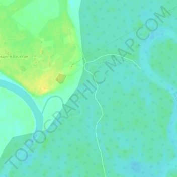 Топографическая карта Васюганская протока, высота, рельеф