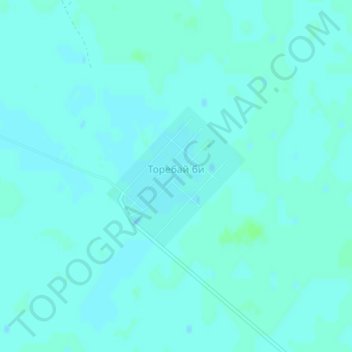 Топографическая карта Торебай би, высота, рельеф
