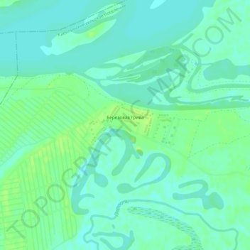 Топографическая карта Березовая Грива, высота, рельеф