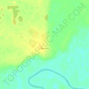 Топографическая карта Воронина, высота, рельеф