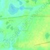 Топографическая карта Болотная, высота, рельеф