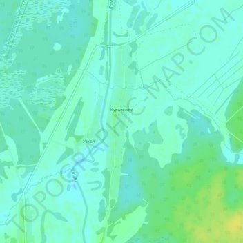 Топографическая карта Курьяново, высота, рельеф
