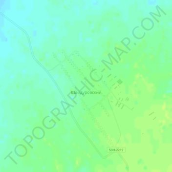 Топографическая карта Шайдуровский, высота, рельеф